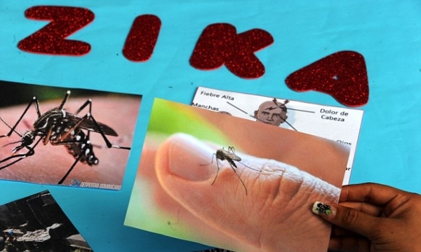 Việt Nam sắp thả thử nghiệm muỗi siêu nhiễm ngăn bệnh Zika
